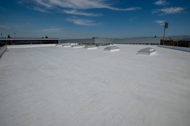 Best Cold Roofs  in Hilltop, MN