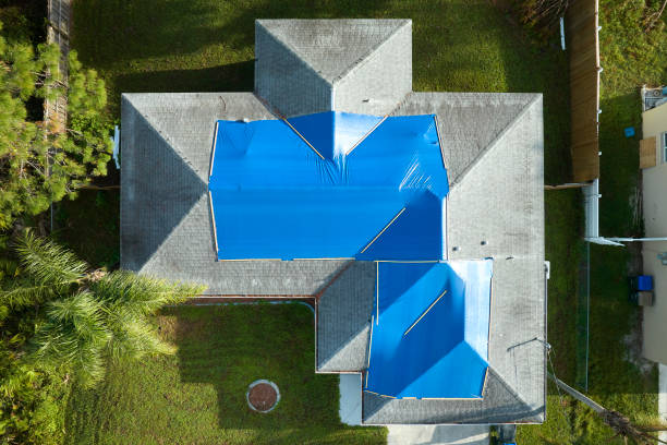 Best Roof Insulation Installation  in Hilltop, MN